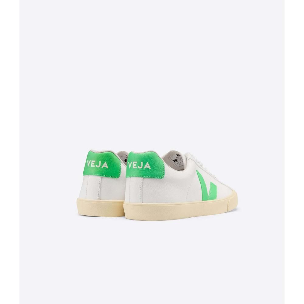 Men's Veja ESPLAR CHROMEFREE BUTTER-SOLE Sneakers White | SG 301BEX